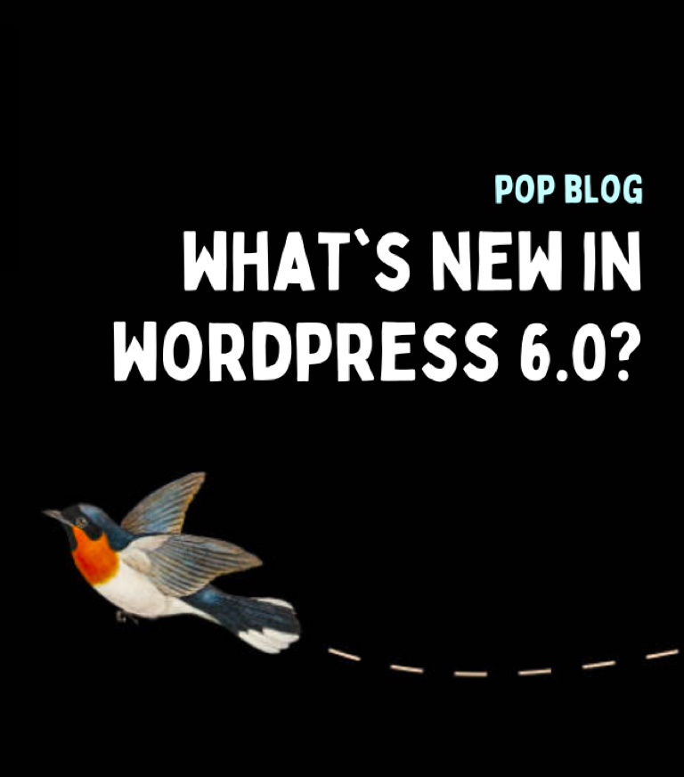 What’s New in the Latest WordPress 6.0 Update?
